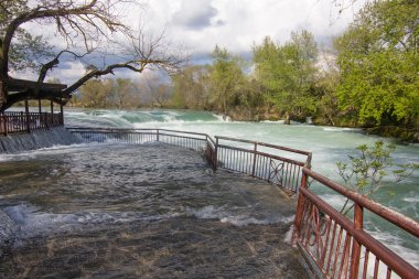 Peyzaj: ağaçlar ve su akışı