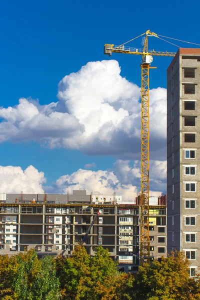 Kule Vinç ve şantiye