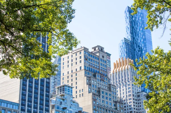 View from the Central Park of New York to skyscrappers — Stock Photo, Image