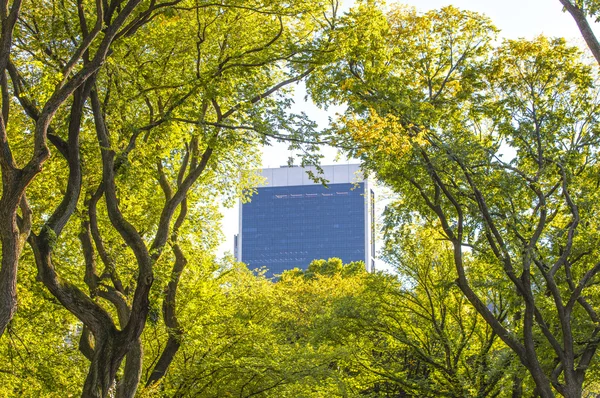 View from the Central Park of New York to skyscrappers — Stock Photo, Image
