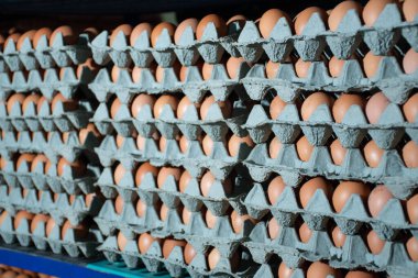 Tavuk çiftliğindeki siyah plastik depoda bir sürü yumurta toptan satışa sunuldu.