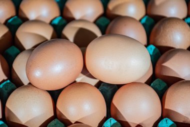 Taze yerli yumurta arka planı. Organik yiyecekler. Tavuk yumurtası çiftliği. Endüstriyel yumurta paketleri.