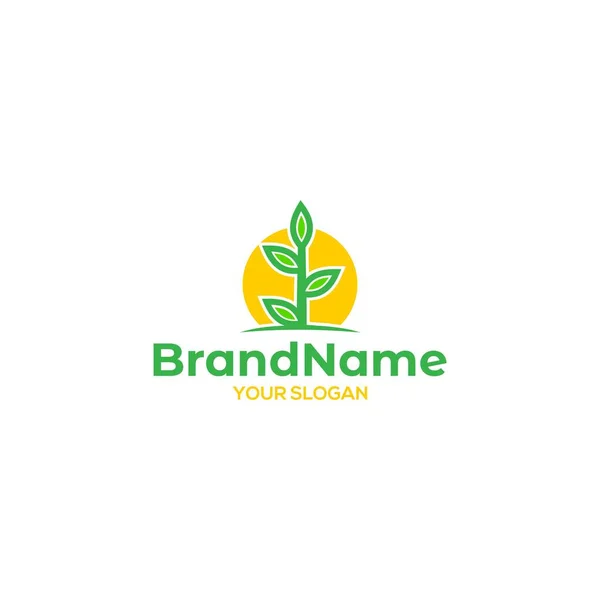 Vettore Progettazione Del Logo Del Sole Crescita Della Pianta — Vettoriale Stock