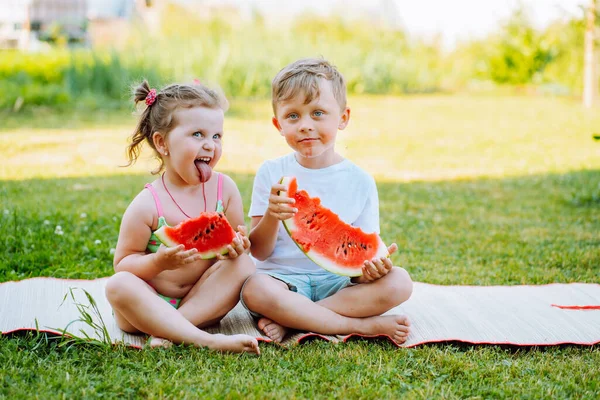 Two funny kids eat watermelon on back yard. Kids eat fruit outdoors. Healthy snack for children. Toddlers show tongue to each other.