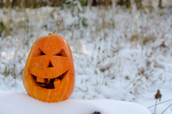 Halloween pumpkin on the snow on the