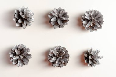 Beyaz arka planda gümüş kozalaklar