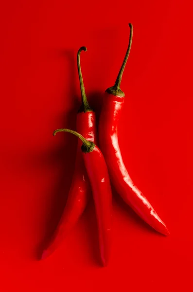 Pimientos Rojos Picantes Sobre Fondo Rojo — Foto de Stock