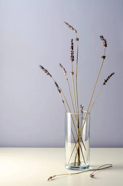 Dried purple lavender on table. Empty place for text, Front view. — Stock Photo, Image