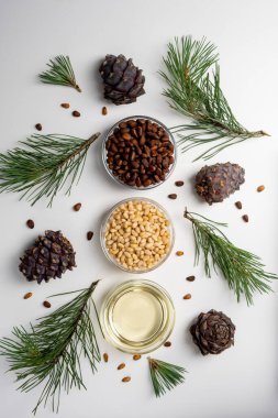 Çam fıstığı yağı, kabuğu soyulmuş çam fıstığı ve kozalaklı beyaz.