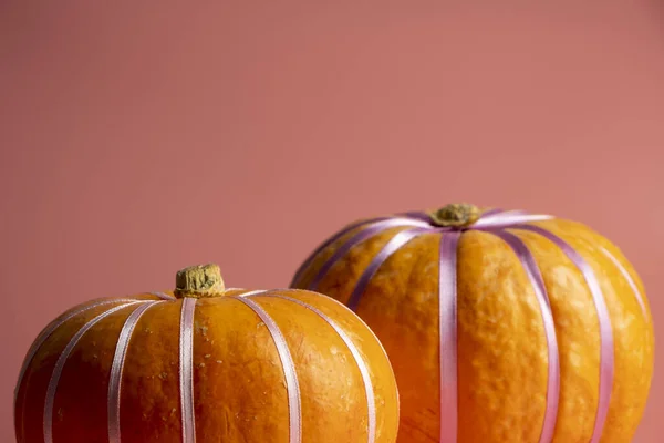 호박은 파스텔 핑크 바탕에 파스텔 리본 과 함께 있다. 가을, 가을, 할로윈 컨셉트. — 스톡 사진