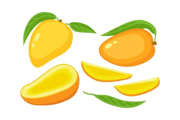 Mango Dilimi Yaprak Parçaları Beyaz Arka Planda Izole Edilmiş Meyve — Stok Vektör