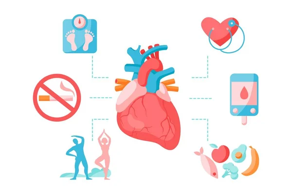 Penyakit Jantung Dan Aterosklerosis Pencegahan Infografis Konsep Gaya Hidup Sehat - Stok Vektor