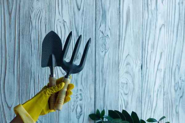 Hand in the yellow protective gloves holds metal gardening tools: hand trowel and hand fork on white wooden background. Equipment set for the home planting hobby. Copy space.