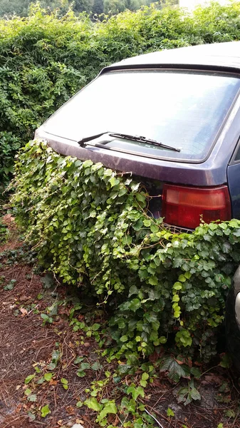 Abandoned car and assaulted by vegetation — Stock Photo, Image