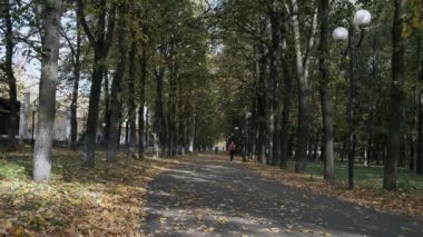 Güneşli bir günde sonbahar parkında koşan Kafkas fitness kızı spor giyimli bir koşucu.