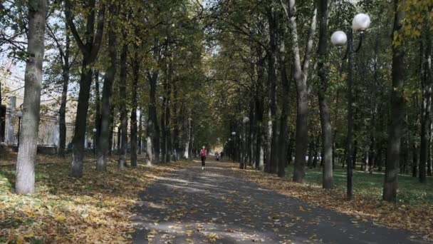 Corridore caucasico della ragazza di idoneità in abbigliamento sportivo che funziona al parco di autunno il giorno soleggiato — Video Stock