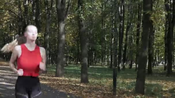 Caucásico chica de fitness corredor en ropa deportiva corriendo en el parque de otoño en el día soleado — Vídeos de Stock