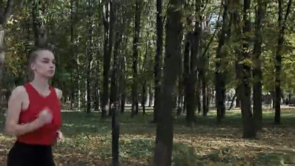 Coureuse de fitness caucasienne en tenue de sport courant au parc d'automne le jour ensoleillé — Video