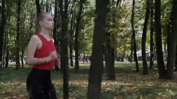 Coureuse de fitness caucasienne en tenue de sport courant au parc d'automne le jour ensoleillé — Video