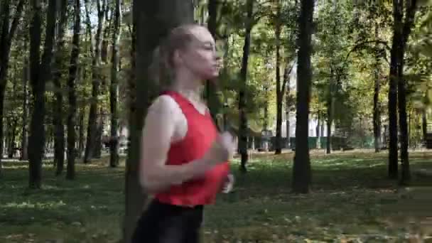 Kaukasiska fitness flicka löpare i sportkläder som kör på hösten park på solig dag — Stockvideo