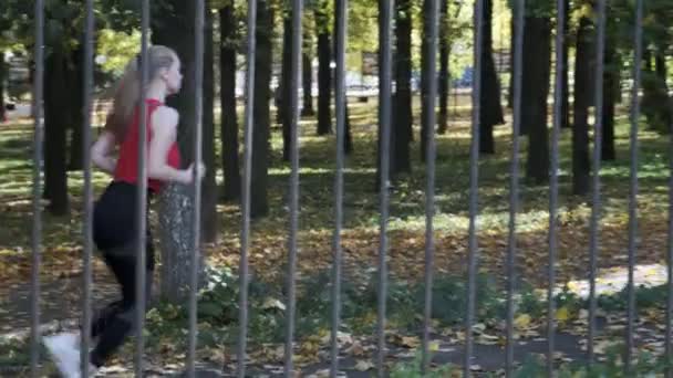 Kaukasiska fitness flicka löpare i sportkläder som kör på hösten park på solig dag — Stockvideo