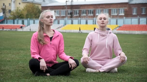 Два молодих близнюка в рожевому спортивному одязі сидять на полі трави в позі лотоса, медитувати — стокове відео