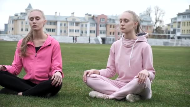 Dos gemelos jóvenes en ropa deportiva rosa se sientan en el campo de hierba en pose de loto, meditan — Vídeos de Stock