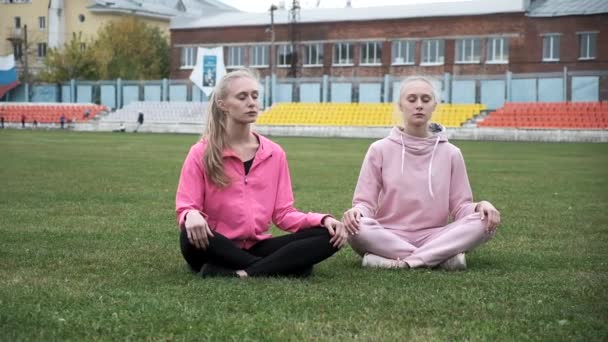 Dos gemelos jóvenes en ropa deportiva rosa se sientan en el campo de hierba en pose de loto, meditan — Vídeos de Stock