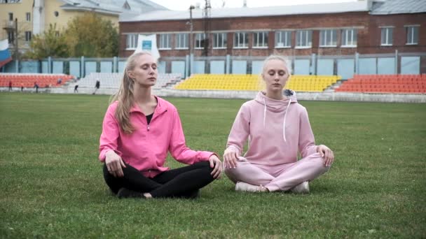Dois jovens gêmeos em sportswear rosa sentar no campo de grama em pose de lótus, meditar — Vídeo de Stock