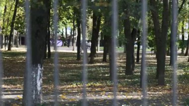 Spor kıyafetleri içinde formda bir kadın çitlerin arkasındaki gölgeli sonbahar parkında duruyor, gülümsüyor, gülüyor.