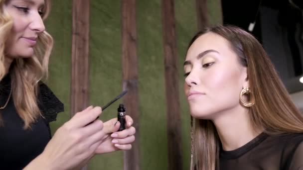 Makyaj sanatçısı güzellik salonunda genç Asyalı çekici bir kadın için makyaj yapıyor. — Stok video