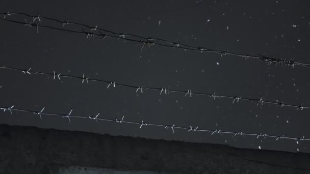 Fängelse taggtråd över betong staket vid kall mörk vinternatt under snöfall — Stockvideo