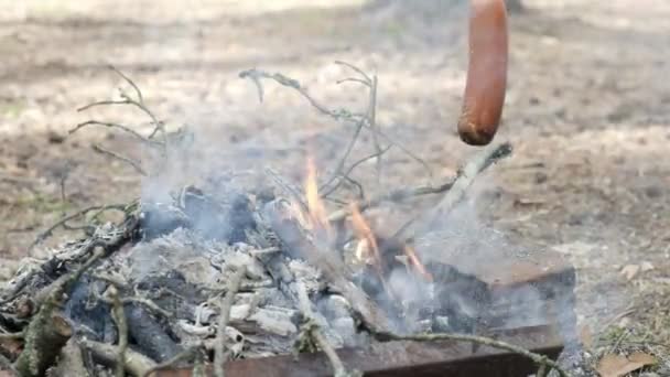 Kiełbasa na drewnianym patyku grillowana przy ognisku w lesie. wypoczynek turystyczny, piesze wycieczki — Wideo stockowe