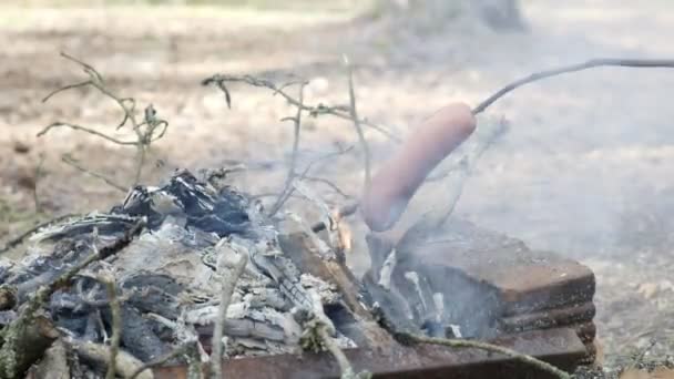 Klobása na dřevěné tyčce grilovaná u táboráku v lese. turistický volný čas, turistika — Stock video