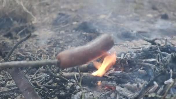 Klobása na dřevěné tyčce grilovaná u táboráku v lese. turistický volný čas, turistika — Stock video