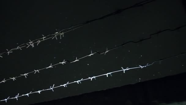 Prisão arame farpado sobre cerca de concreto na noite fria de inverno escuro durante a queda de neve — Vídeo de Stock