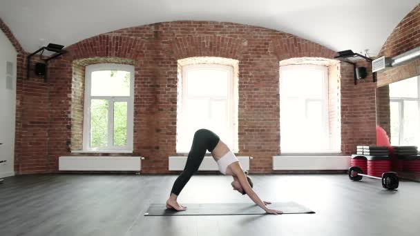 Yoga egzersizleri yapan kız, köpeğe doğru eğilip asana, bakasana pozu veriyor. — Stok video