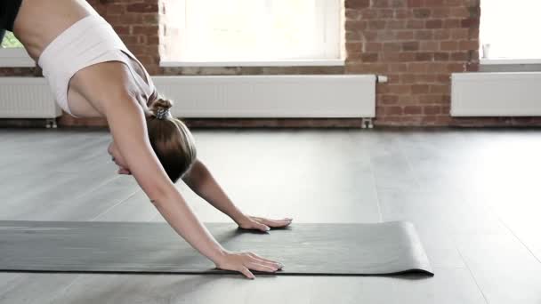 Genç, zayıf, beyaz kadın köpeğe doğru eğiliyor. Asana, bakasana pozu veriyor. — Stok video