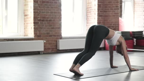 Chica haciendo ejercicios de yoga, de pie en la postura hacia abajo perro asana, bakasana — Vídeos de Stock