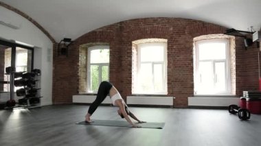 Yoga egzersizleri yapan kız, köpeğe doğru eğilip asana, bakasana pozu veriyor.