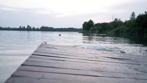 Young male running on wooden dock, jumping in lake with splashes like cannonball — ストック動画