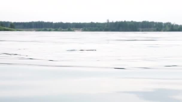 Kepala seksi menggoda wanita muda yang menyelam ke danau, kemudian muncul dari air — Stok Video