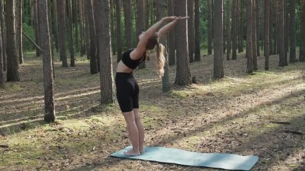 Ajustement flexible pratiques féminines yoga, effectue surya namaskar à la forêt de pins ensoleillée — Video