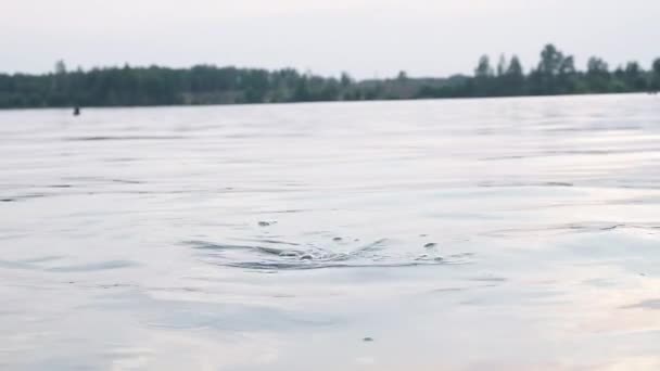 Testa di giovane donna che si tuffa nel lago, poi salta fuori dall'acqua e sorride — Video Stock