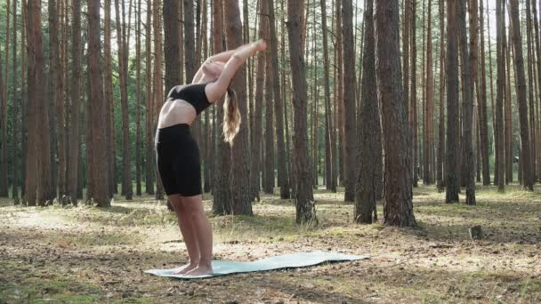 Ajustement flexible dame pratique le yoga, effectue surya namaskar à la forêt de pins ensoleillée — Video