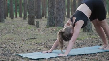 Esnek, ince kadın yoga yapıyor, güneşli çam ormanlarında shvanasana yapıyor.