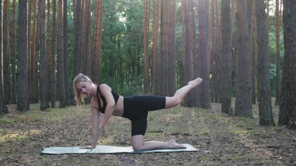 Flexible junge, fitte Frau praktiziert Yoga, führt Bharmanasana im Kiefernwald durch — Stockvideo