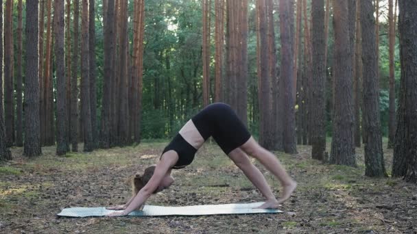 Гнучка тонка жіноча практика йога, виконує шванасану в сонячному сосновому лісі — стокове відео