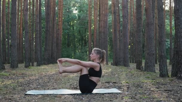Flexible weibliche Praxis Yoga, führt Uhaya Padangusthasana im Kiefernwald — Stockvideo