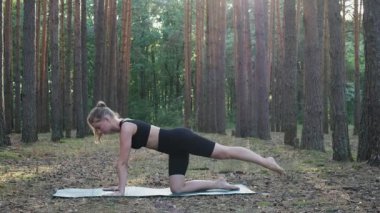 Esnek, formda bir kadın yoga yapıyor, çam ormanlarında bharmanasana yapıyor.